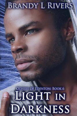 Light in Darkness by Rivers, Brandy L.