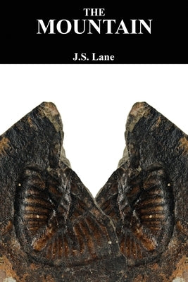 The Mountain: A meditation on the consequences of an obsession by Lane, J. S.