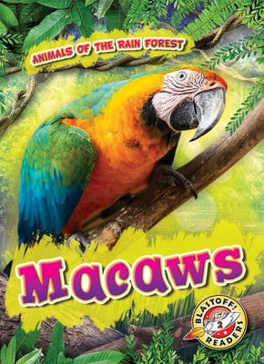 Macaws by Kenney, Karen