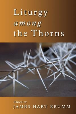 Liturgy Among the Thorns: Essays on Worship in the Reformed Church in America by Brumm, James Hart