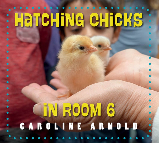 Hatching Chicks in Room 6 by Arnold, Caroline