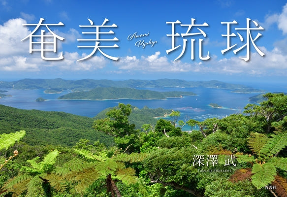 Amami Ryukyu by Fukazawa, Takeshi