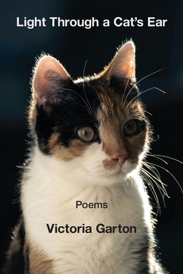 Light Through a Cat's Ear by Garton, Victoria