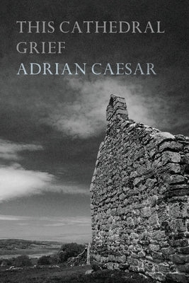 This Cathedral Grief by Caesar, Adrian
