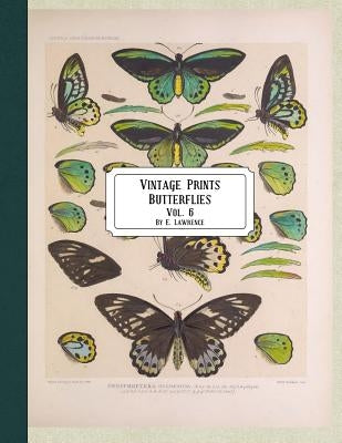 Vintage Prints: Butterflies: Vol. 3 by Lawrence, E.