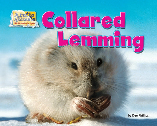 Collared Lemming by Phillips, Dee