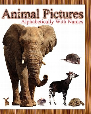 Animal Pictures Alphabetically with Names by Rajan, Dinesh