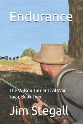 Endurance: The Wilson Turner Civil War Saga by Stegall, Jim