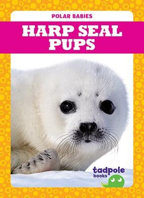 Harp Seal Pups by Nilsen, Genevieve