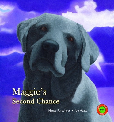 Maggie's Second Chance by Furstinger, Nancy