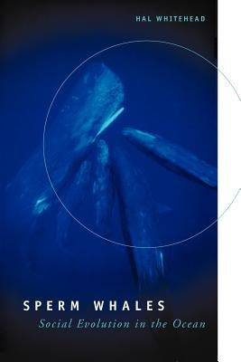 Sperm Whales: Social Evolution in the Ocean by Whitehead, Hal