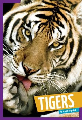 Tigers by Ringstad, Arnold