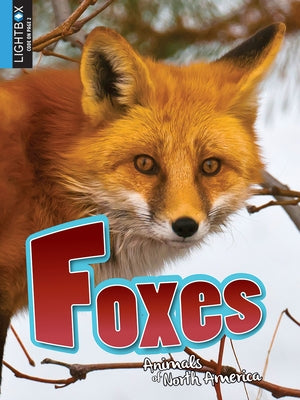 Foxes by Yasuda, Anita
