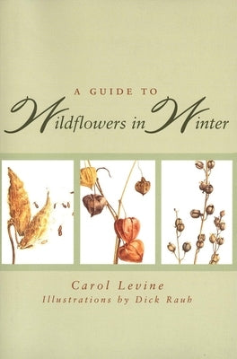 A Guide to Wildflowers in Winter: Herbaceous Plants of Northeastern North America by Levine, Carol