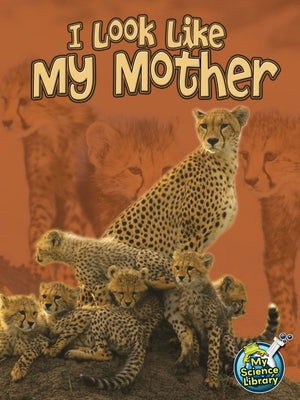 I Look Like My Mother by Lundgren, Julie K.
