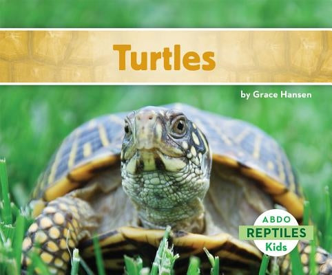 Turtles by Hansen, Grace