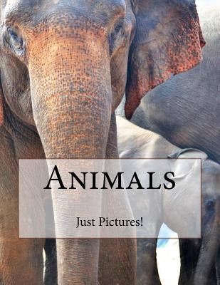 Animals by Pictures!, Just