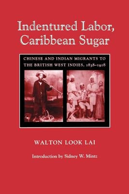 Indentured Labor, Caribbean Sugar: Chinese and Indian Migrants to the British West Indies, 1838-1918 by Look Lai, Walton