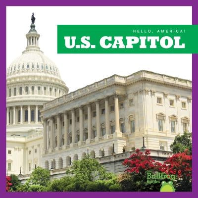 U.S. Capitol by Rawson, Katherine