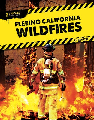 Fleeing California Wildfires by Hamilton, S. L.