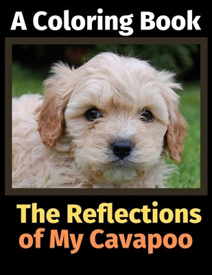 The Reflections of My Cavapoo: A Coloring Book by Activity Books, Brightview