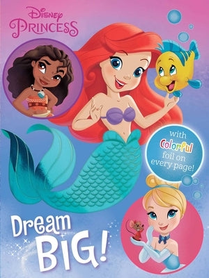 Disney Princess: Dream Big! by Fischer, Maggie