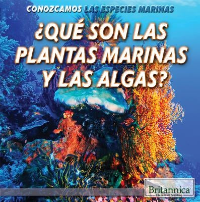 What Are Sea Plants and Algae? by Steinberg, Lynnae D.