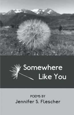 Somewhere Like You by Flescher, Jennifer S.