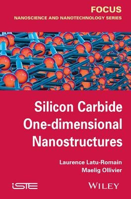 Silicon Carbide One-Dimensional Nanostructures by Latu-Romain, Laurence