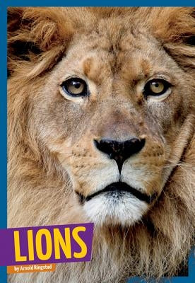 Lions by Ringstad, Arnold