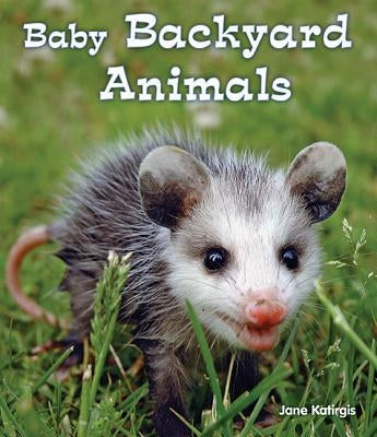 Baby Backyard Animals by Katirgis, Jane