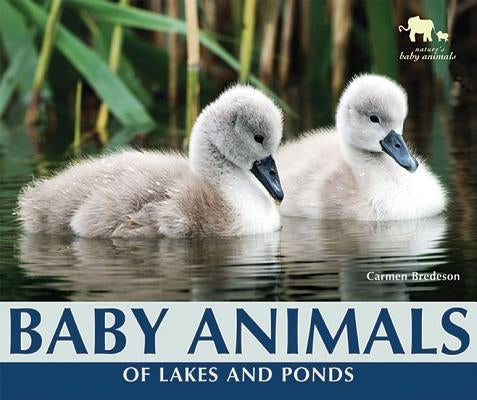 Baby Animals of Lakes and Ponds by Bredeson, Carmen