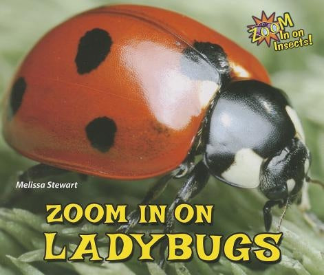 Zoom in on Ladybugs by Stewart, Melissa