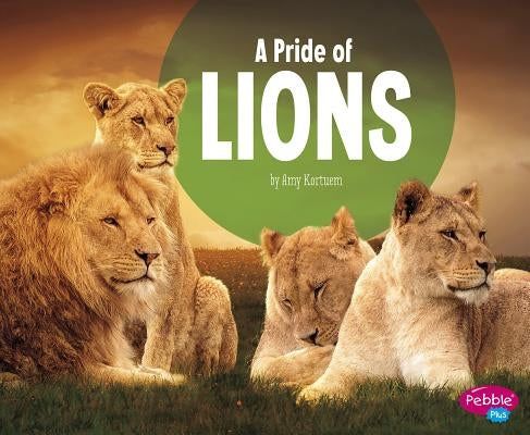 A Pride of Lions by Kortuem, Amy