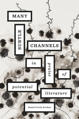 Many Subtle Channels: In Praise of Potential Literature by Levin Becker, Daniel
