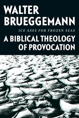 Ice Axes for Frozen Seas: A Biblical Theology of Provocation by Brueggemann, Walter