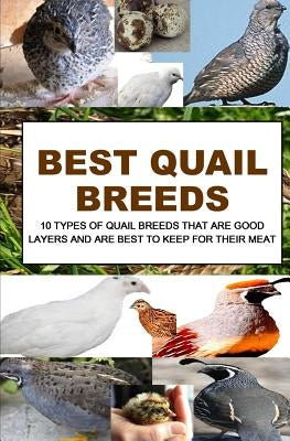 Best Quail Breeds: 10 Types Of Quail Breeds That Are Good Layers And Are Best To Keep For Their Meat by Otieno, F.