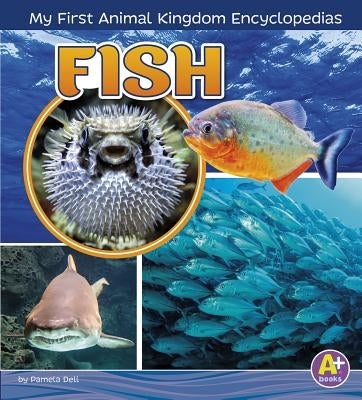Fish by Amstutz, Lisa J.