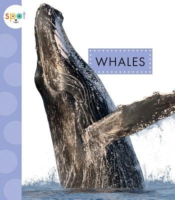 Whales by Schuh, Mari C.