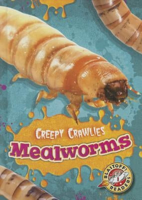 Mealworms by Schuetz, Kari