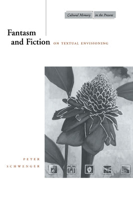 Fantasm and Fiction: On Textual Envisioning by Schwenger, Peter