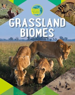 Grassland Biomes by Spilsbury, Louise A.