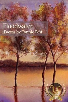Floodwater by Post, Connie
