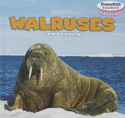 Walruses by Drumlin, Sam