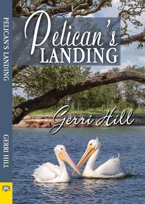 Pelican's Landing by Hill, Gerri