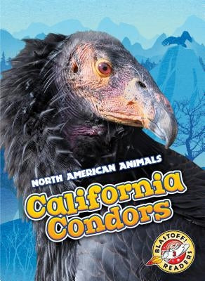 California Condors by Sabelko, Rebecca