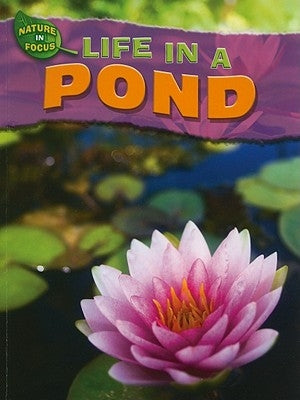 Life in a Pond by Hibbert, Adam