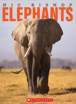 Nic Bishop Elephants by Bishop, Nic