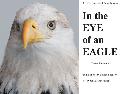 In the Eye of an Eagle: A look at the world from above. by Ramsay, John Martin