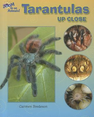 Tarantulas Up Close by Bredeson, Carmen